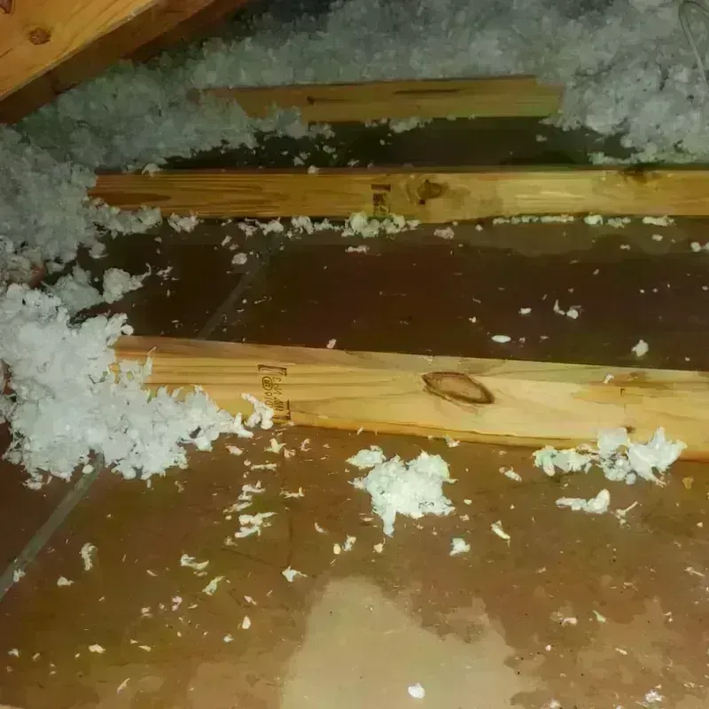 Attic Water Damage in Wrightstown, WI